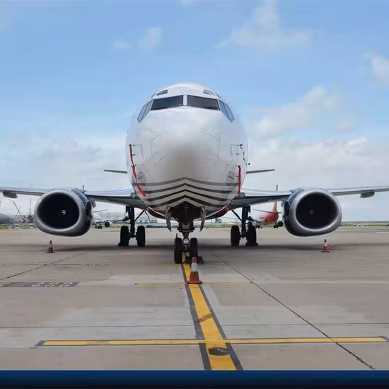 Профессиональные международные авиа и морские перевозки (DDP DDU) из Китая в Канаду, Италию, Норвегию и Литву.