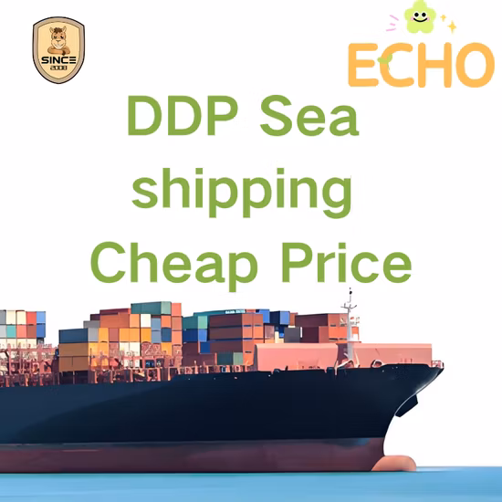 Международное экспедирование грузов/Профессиональная доставка/Воздушный транспорт/Быстрая доставка из Шэньчжэня в страны Западной Европы и АмерикиРекомендация Fob P